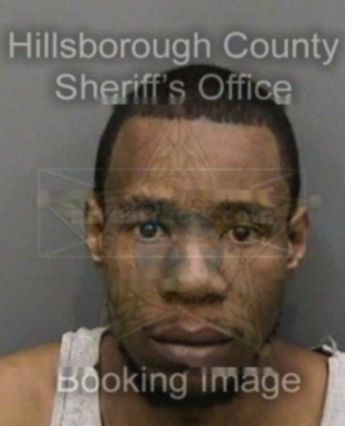 Timothy J Stewart