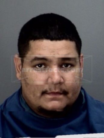 Henry Mark Villarreal
