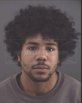 Michael V Boddie
