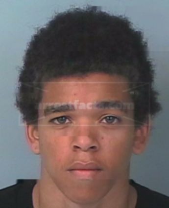 David William-Fitzgerald Hairston