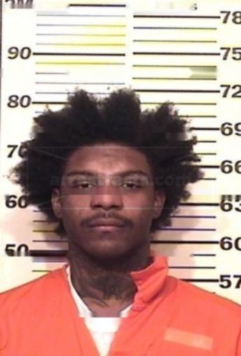 Salathel M Atkins