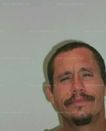 Miguel Allan Lane