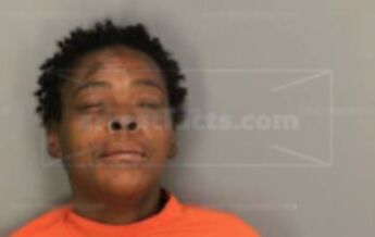 Christine Renee Nowlin