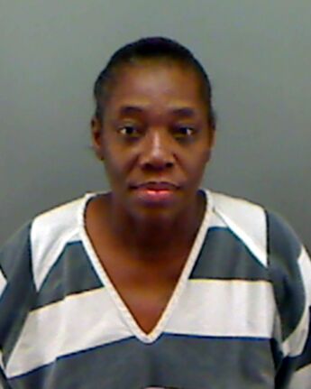 Renee Ann Carr