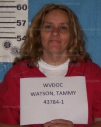 Tammy K Watson