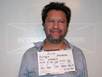 Enrique Mendoza Ruiz