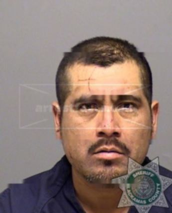 Aurelio Victor Lopezcruz