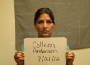 Colleen J Anderson