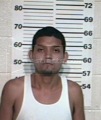Vidal Gonzalez Trevino