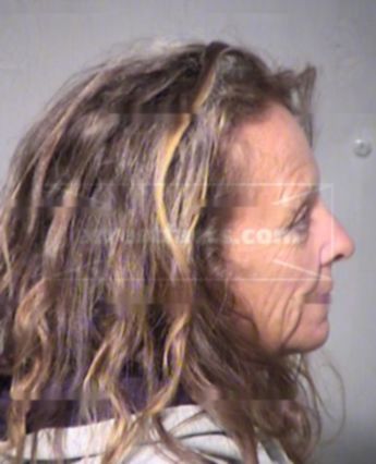 Laura Lee Romney