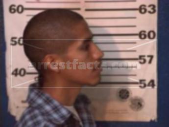 Hector Adrian Ortega Martinez