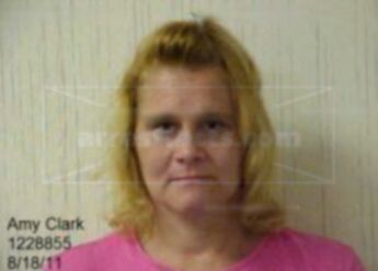 Amy L Clark