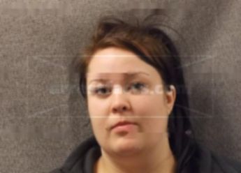 Samantha L Braatz