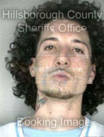David Gonzalez Jr.