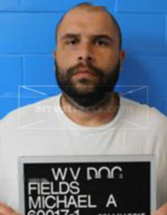 Michael Andre Fields