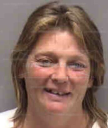Cynthia L Abbott