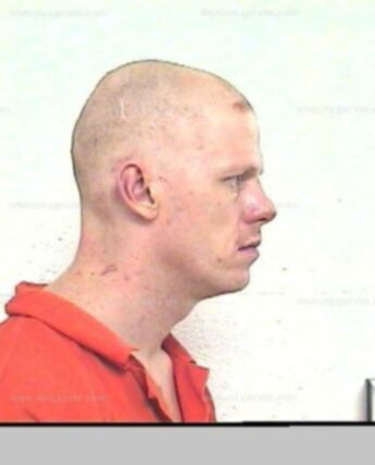 Timothy J Harvey