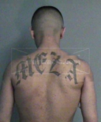 Hugo D Meza