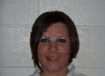 Michelle L Perkins