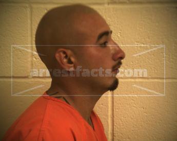 Alejandro Mejia Bravo