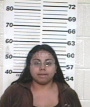 Claudia Ivette Garcia Fernandez