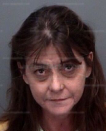 Laura Lynne Bayless