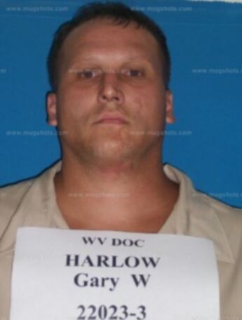 Gary W Harlow