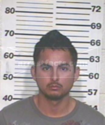 Nelson Luis Vega