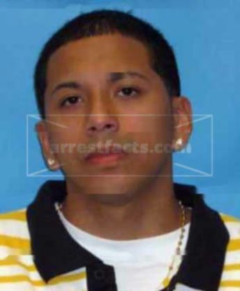 Luis P Fuertes