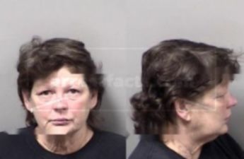 Cynthia Ann Mattox