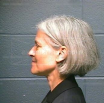 Jill Ellen Stein