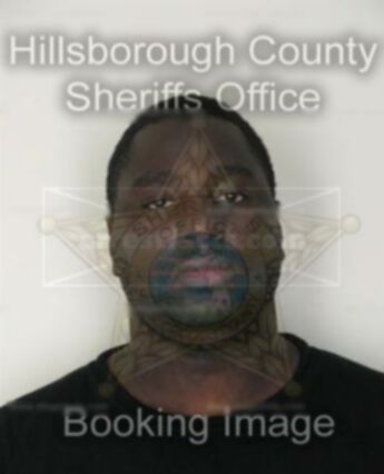Henry Lee Robinson Jr.