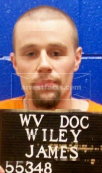 James B Wiley