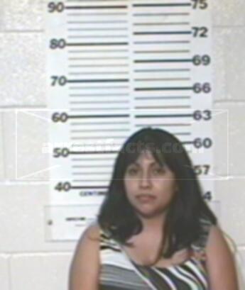 Marisela Gonzalez Alfaro