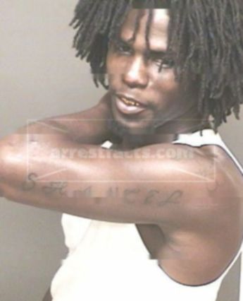 Lashawn Mitchell Williams