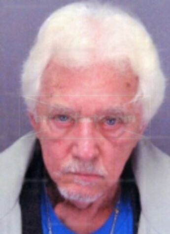 Ronald L Steinmetz
