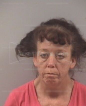 Lisa Hart Hudson