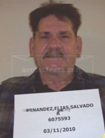 Elias Salvador Hernandez