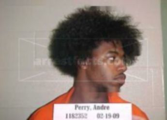 Andre Perry