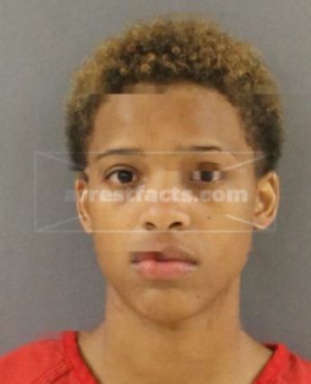 Waynisha Monique Hamilton