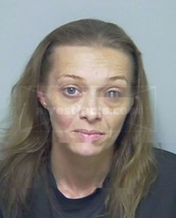 Amanda Ann Williams