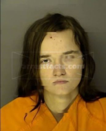 Sarah Ann Stiner