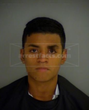 Nelson Alexander Ramirez
