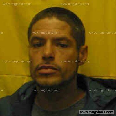 Shawn D Mayle