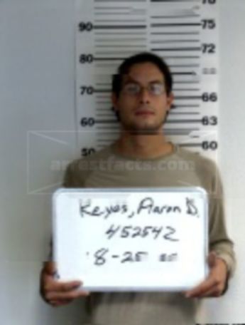 Aaron Daniel Reyes