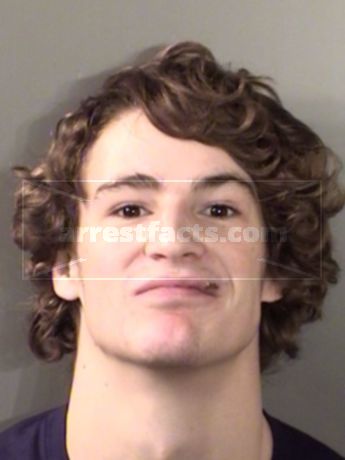 Harrison Taylor Engman