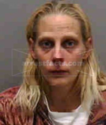 Lynn Ann Chiccarello