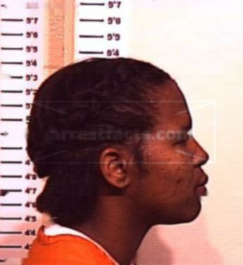Nannetta Lashon Williams