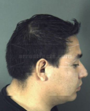 Pichardo Araiza
