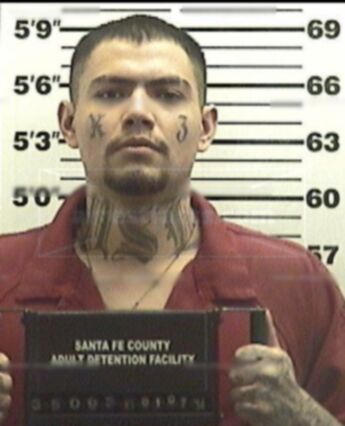 Matthew Padilla